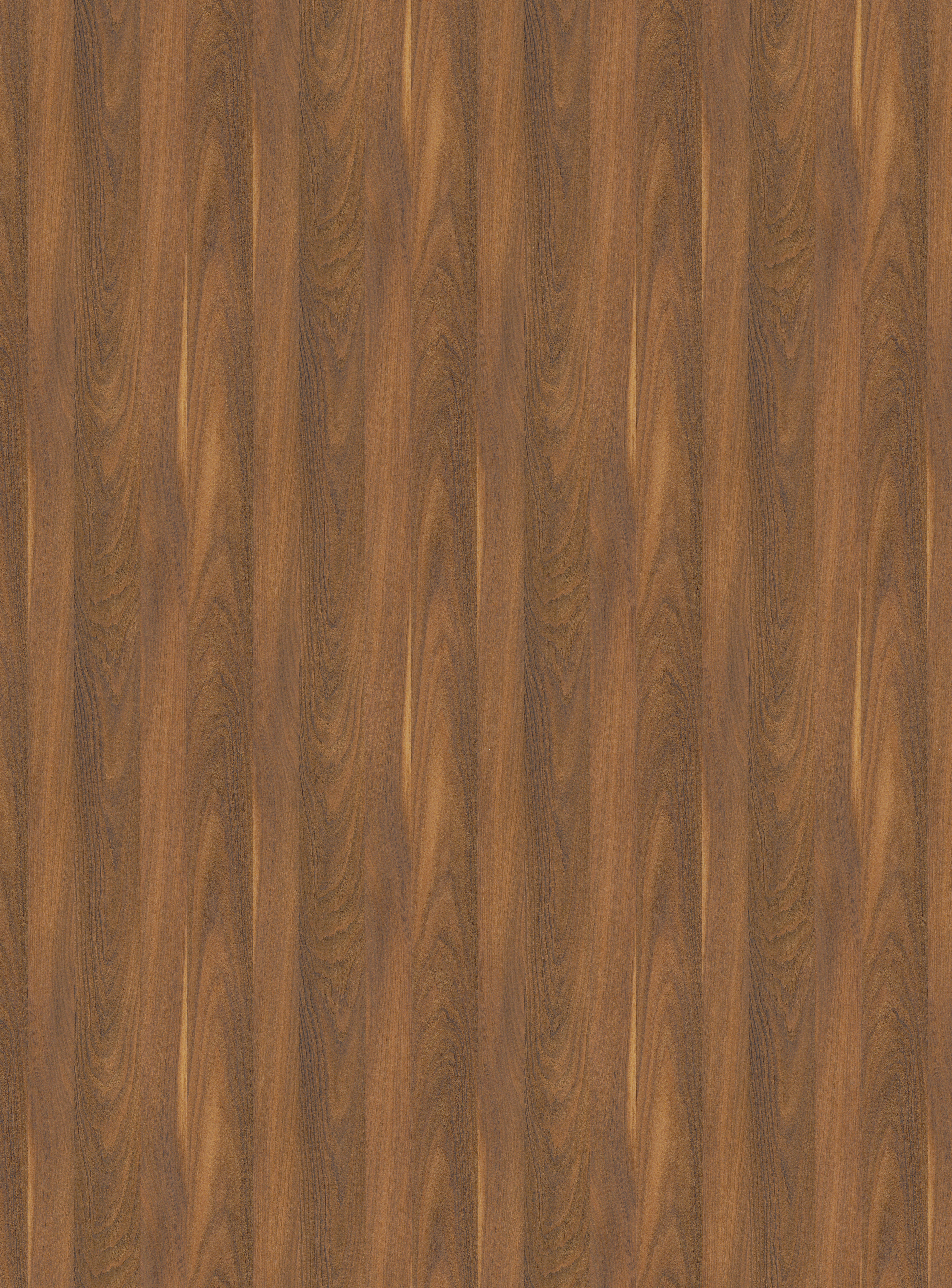 Yosemite S016