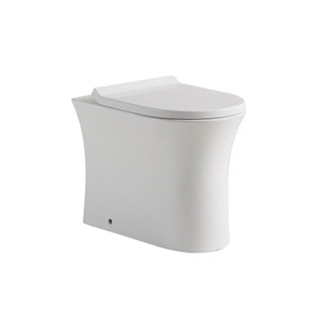 NILE Wall Face Toilet