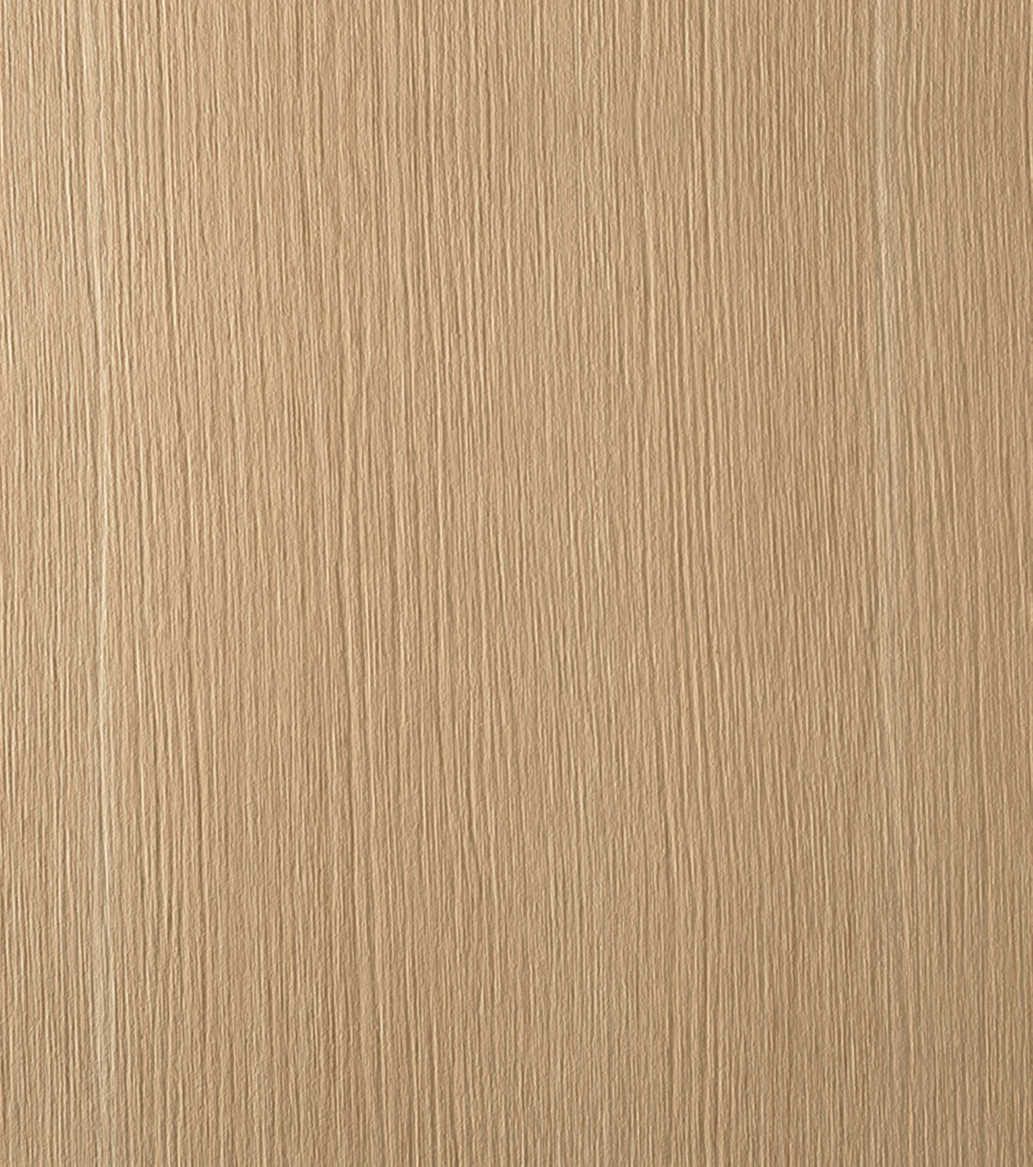 Sablè LR23