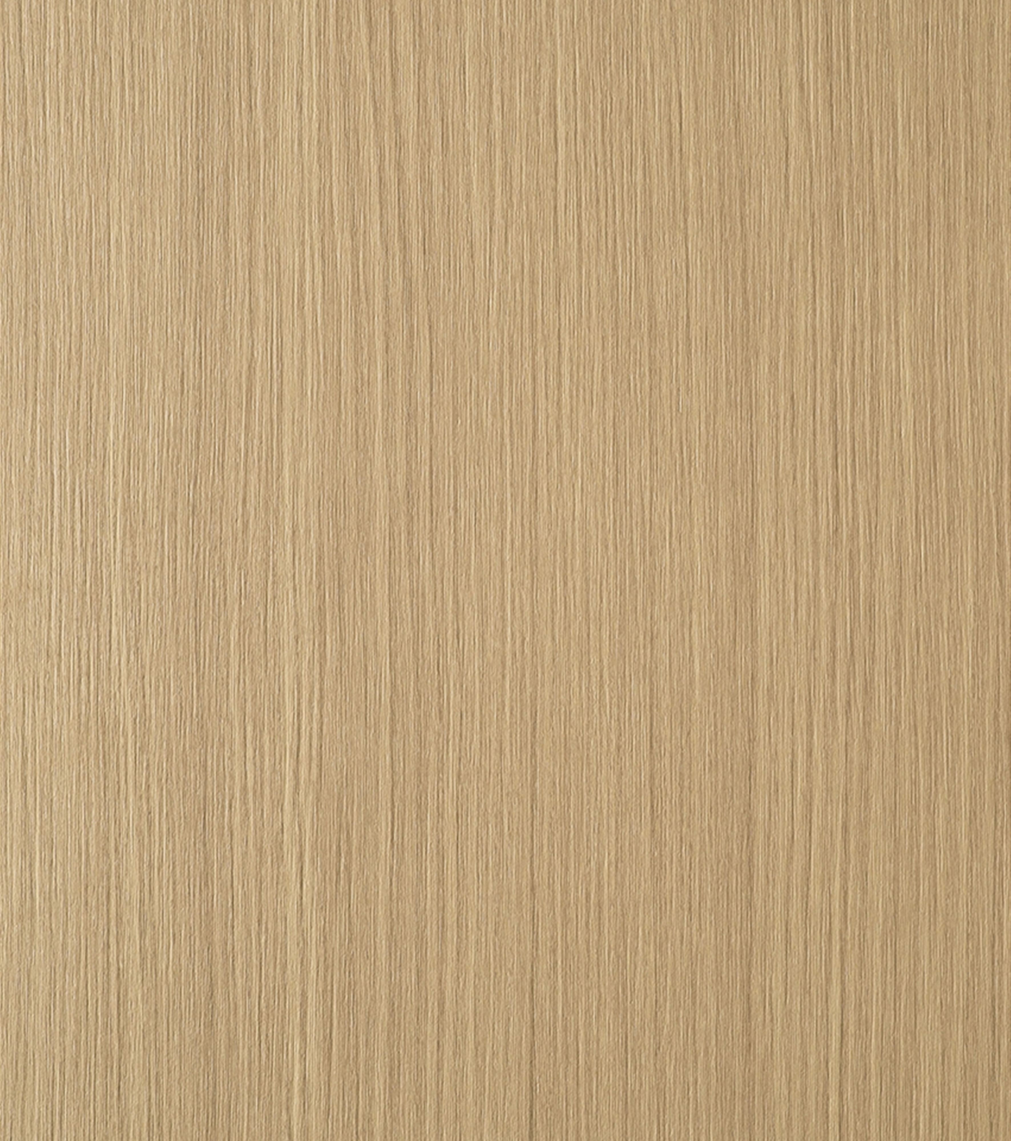 Sablè LR65