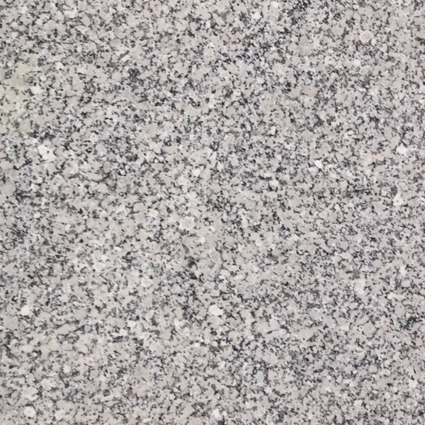 Scalea Gris Perla