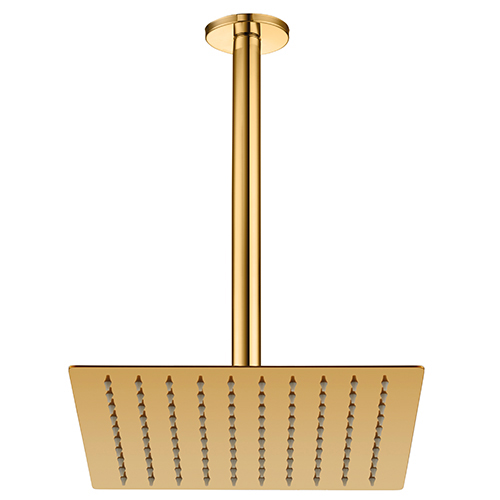 GPD Concealed Shower Head (Ceiling_250X250) - ADS1