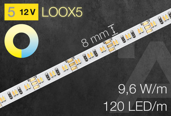 LED strip light Loox5 2070 12 V Tunable white - 833.74.370