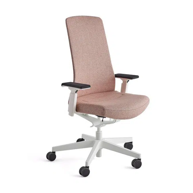 Belmont Modern Ergonomic Office Chair