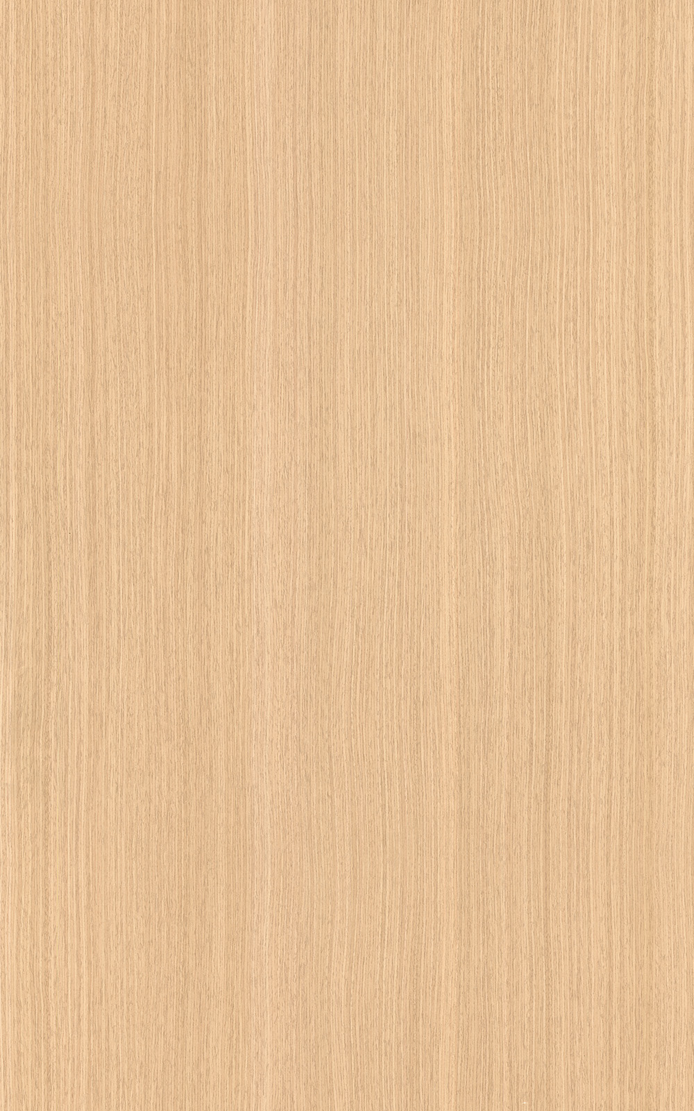 Carpathian Oak  -  3081 Laminat