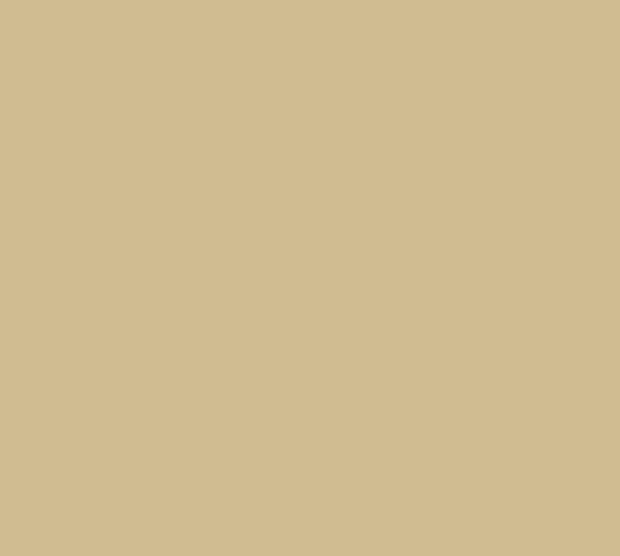 1396 Mesmerising Beige Interior Paint