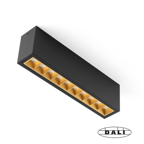 TROOP Surface 10x2W black-gold 36° 2700K CRI90 DALI