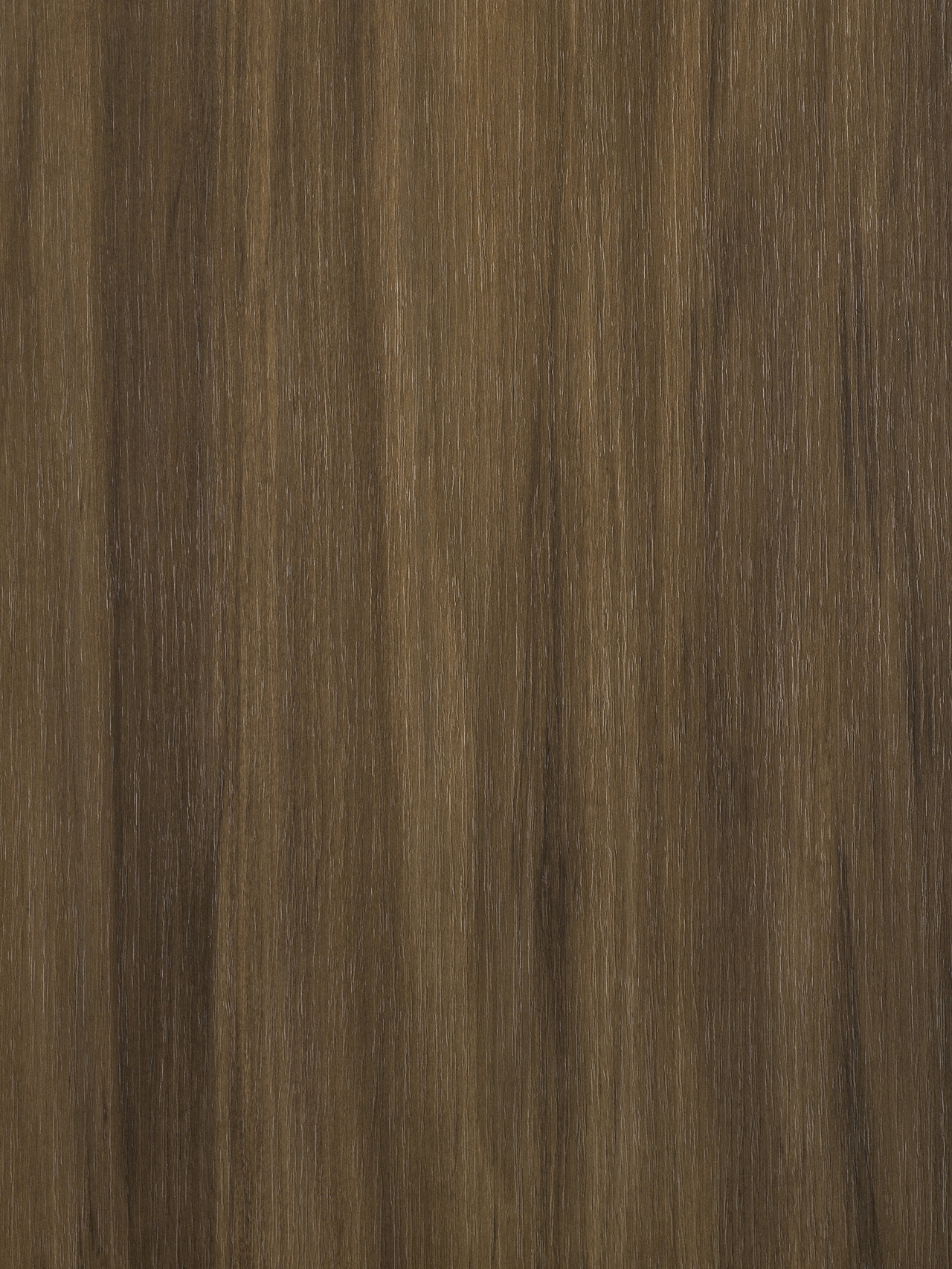 Ceppo LS65