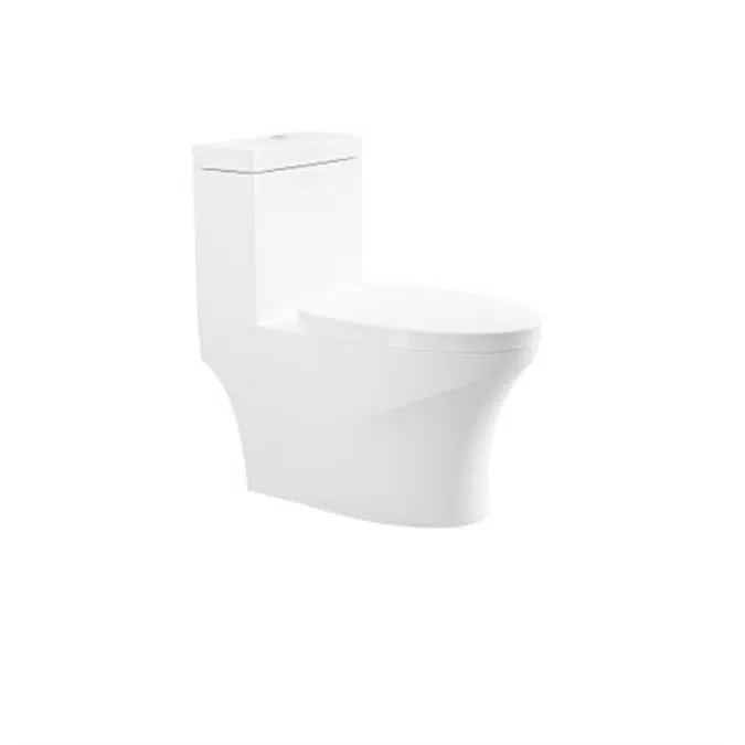RHINE Luxury One Piece Toilet