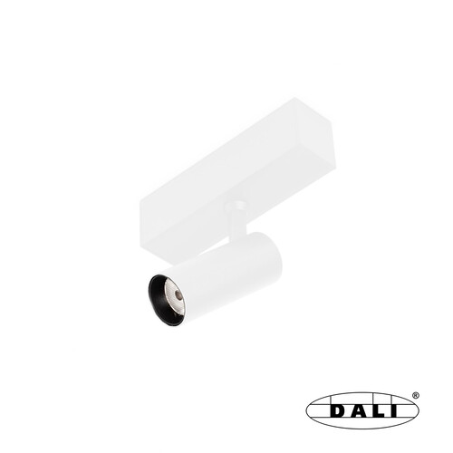NESO HOLE 5W 2700K 20° white DALI