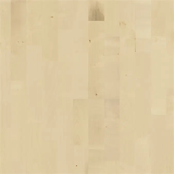 European Maple Gotha Laminate Flooring