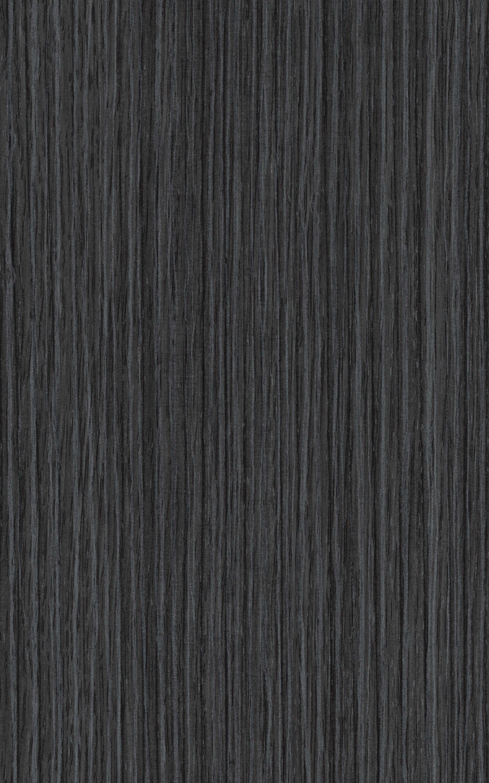 Eugene Elm  -  3121 Laminat