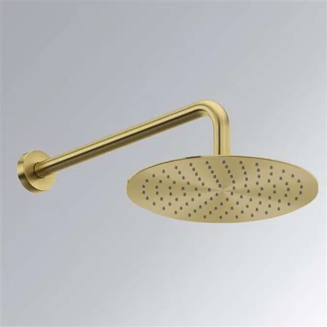 Gold Brass Wall Mount Rainfall Shower Head