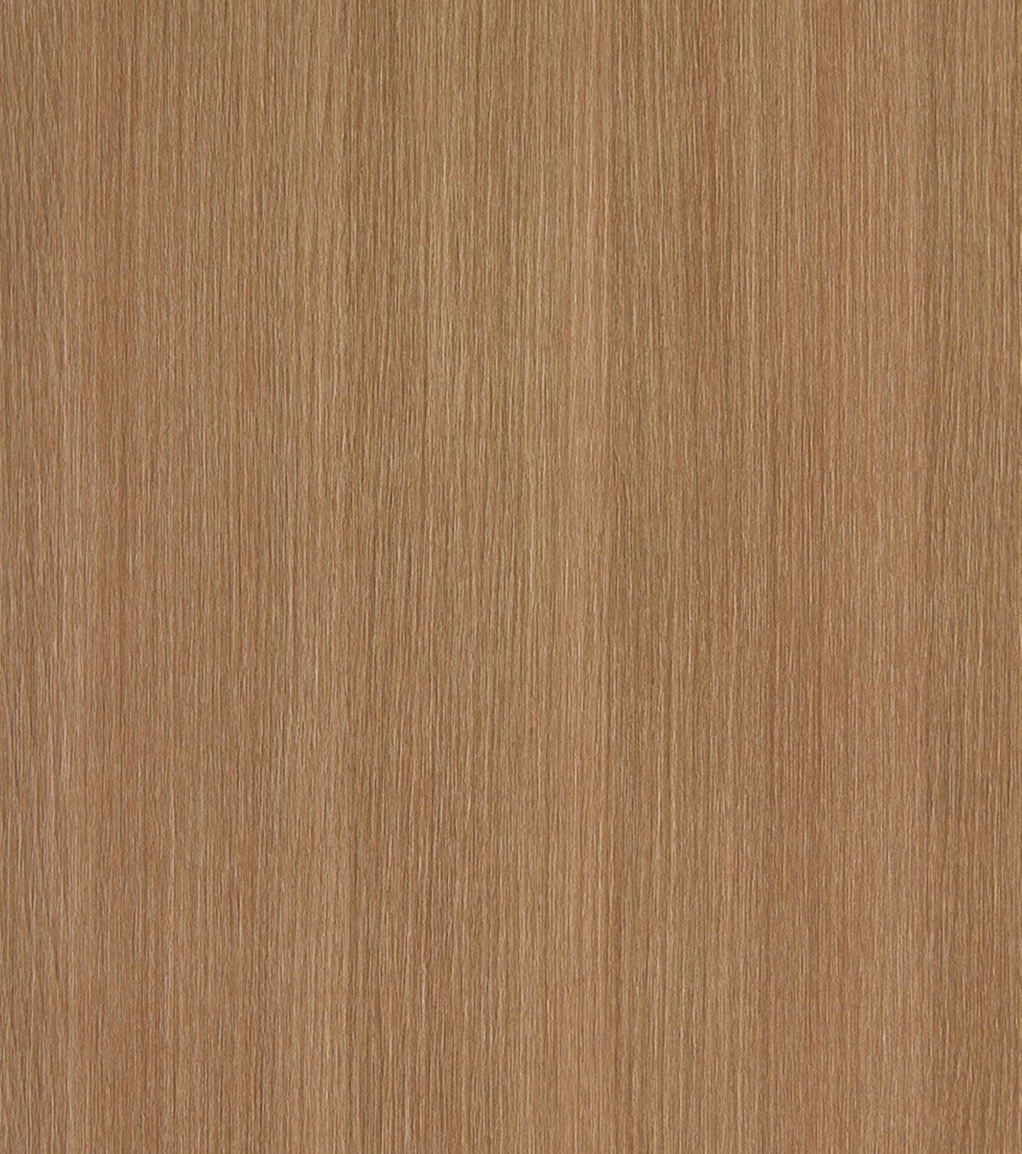 Ceppo LT09