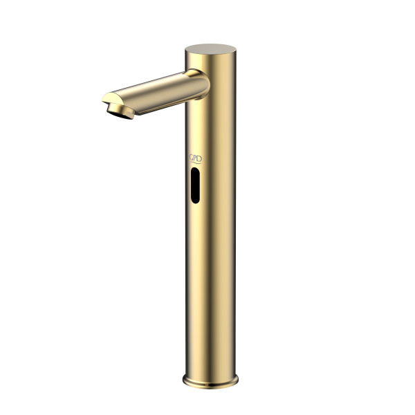 Touchless Sink Faucet (Dual Water Inlet) FLB07-A