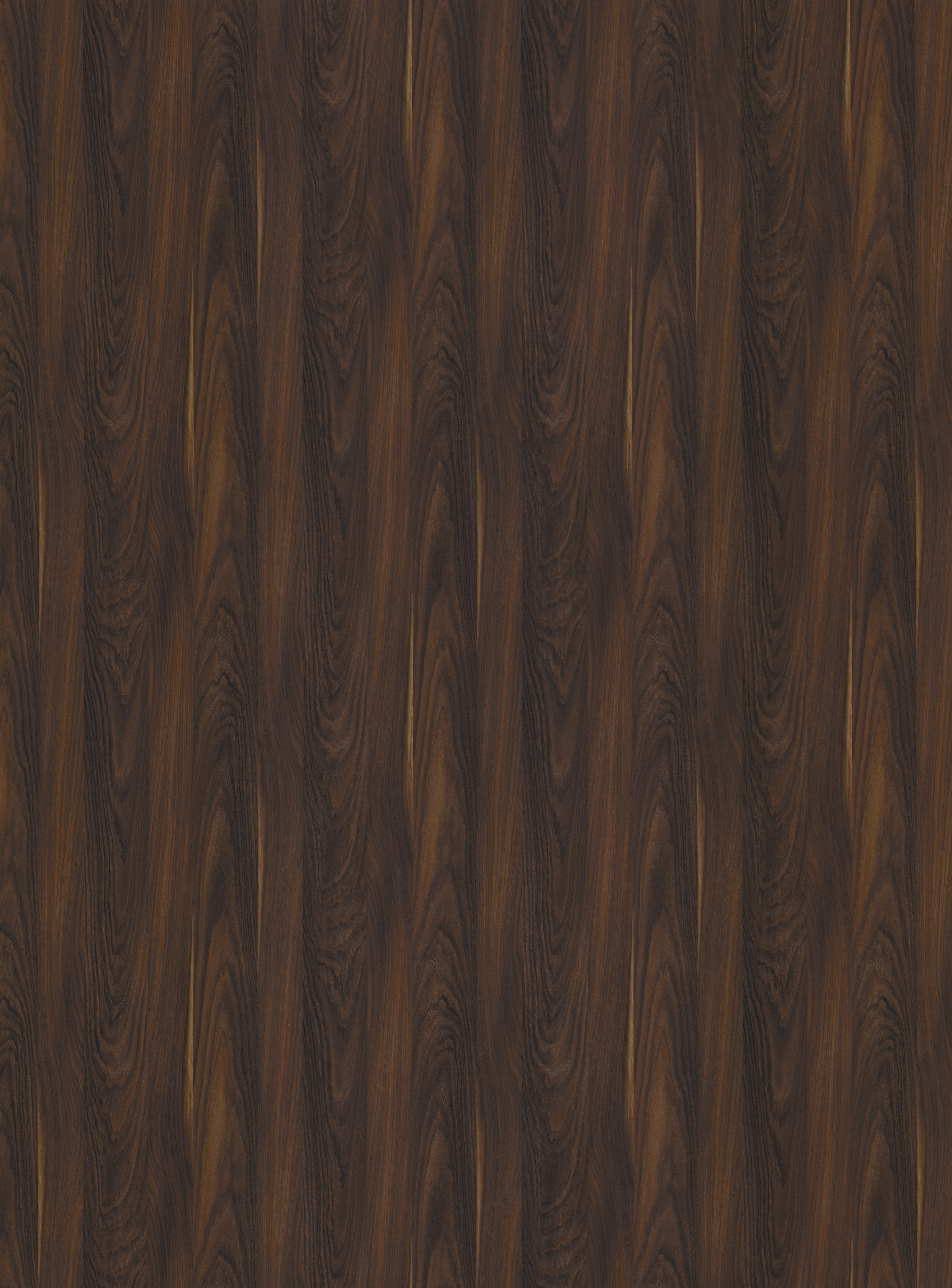 Yosemite S013