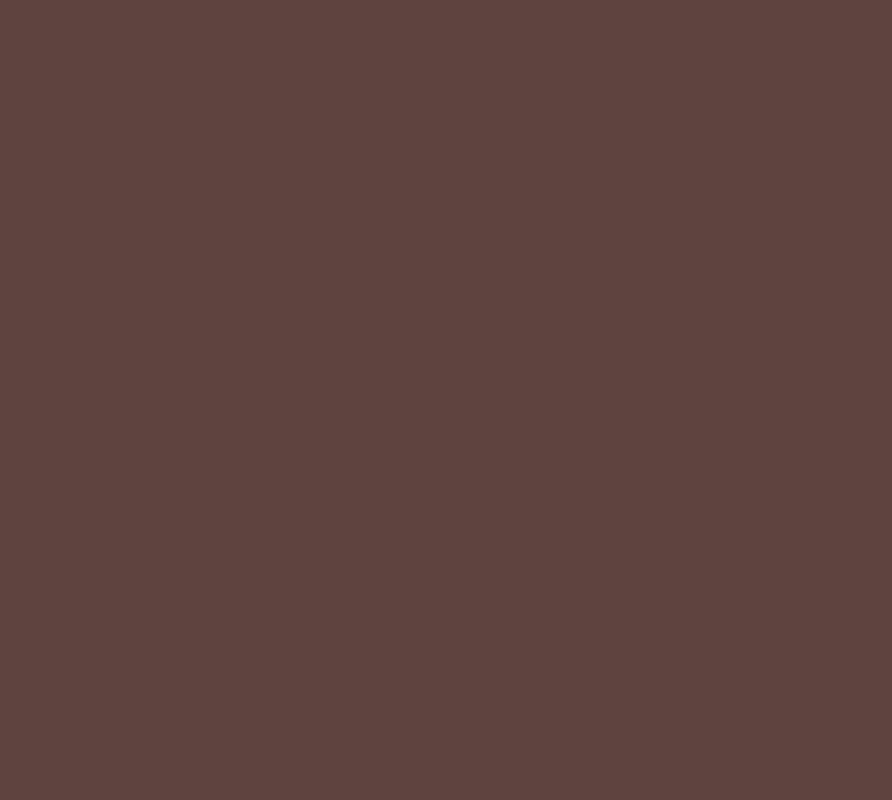 2365 Chocolate Interior Paint