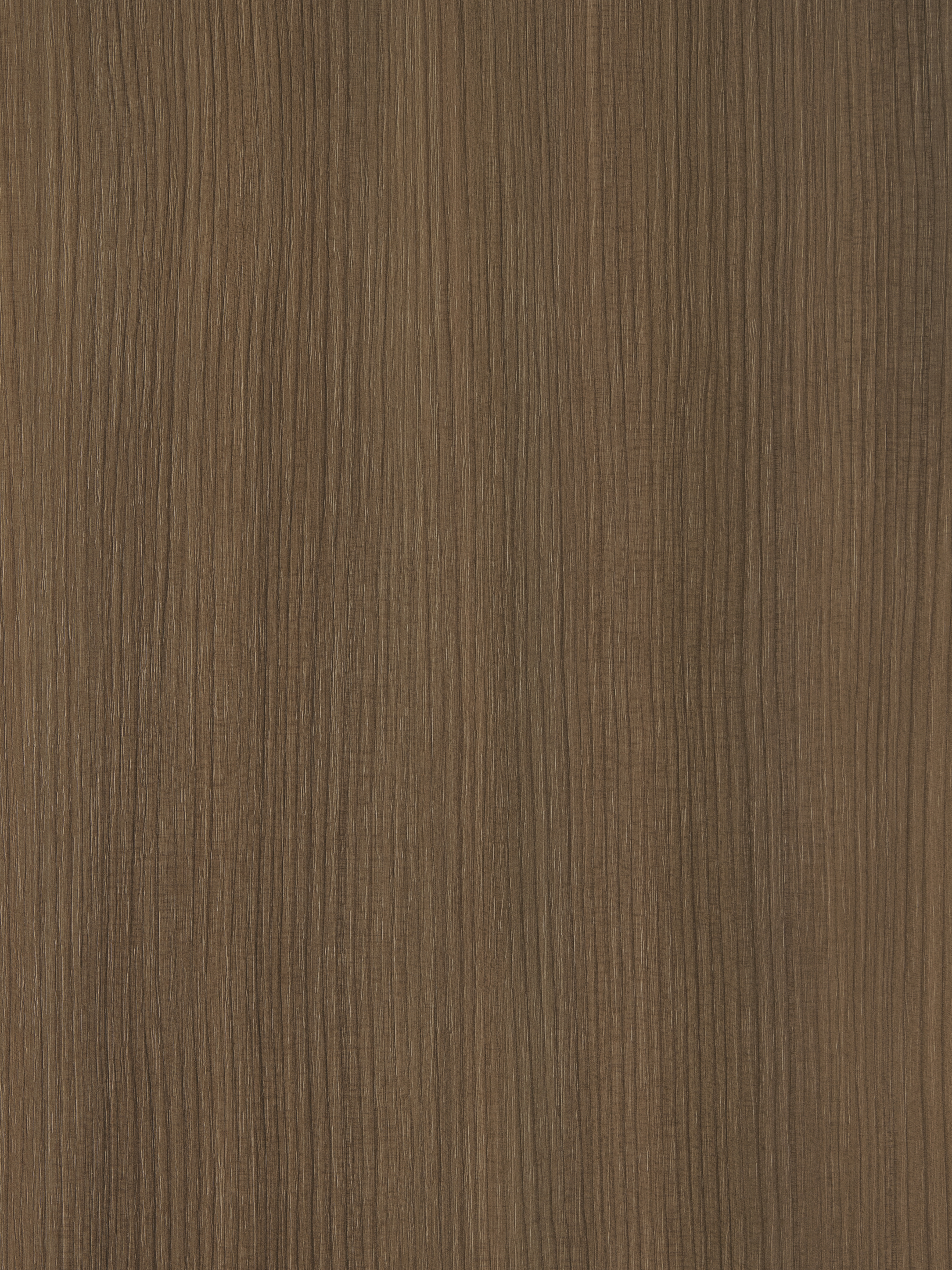 Ceppo LT06