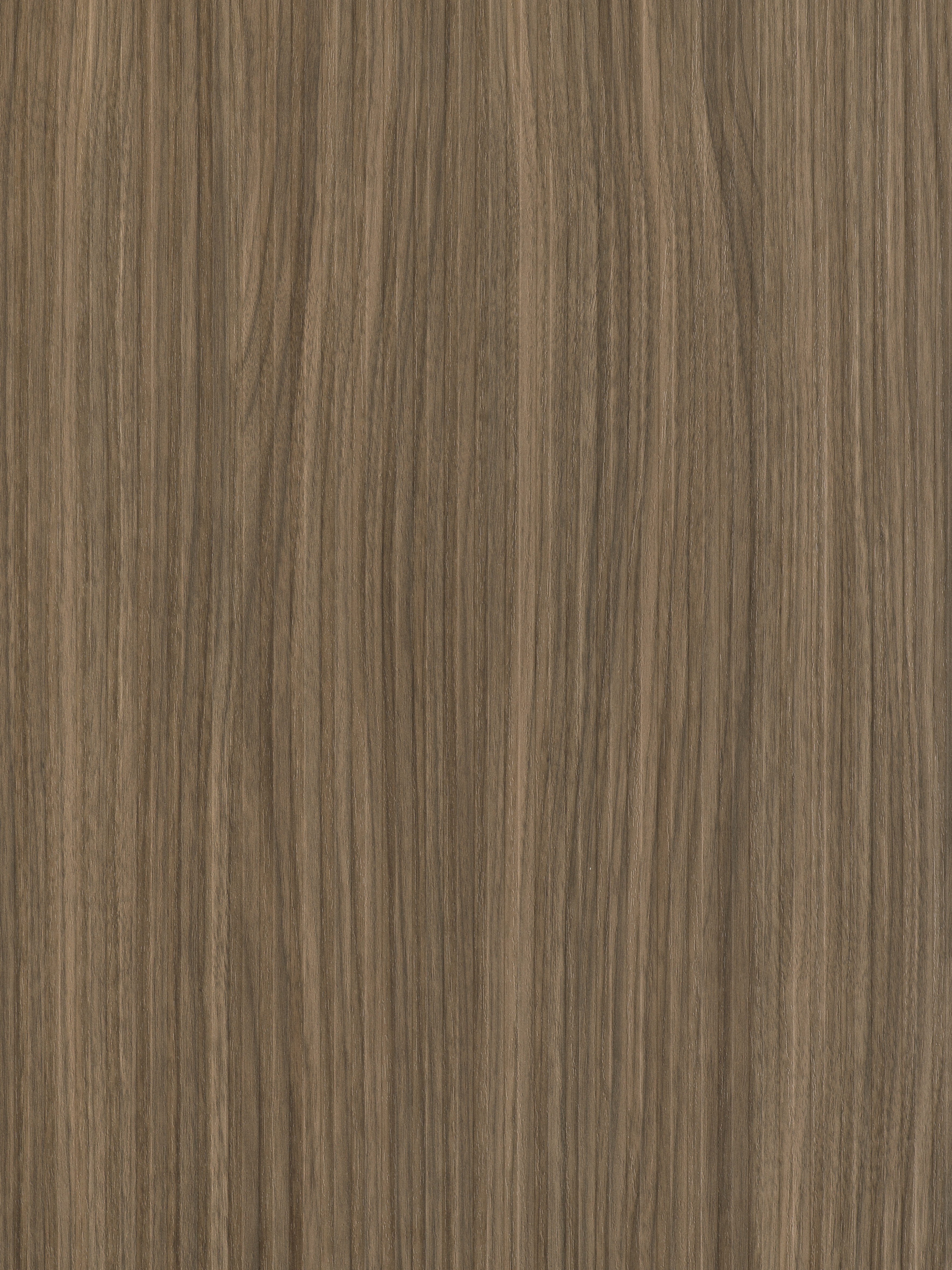 Riga LS49