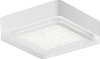 Surface Mounted Downlight, Nimbus Modul Q 36 ON-X - 833.69.021