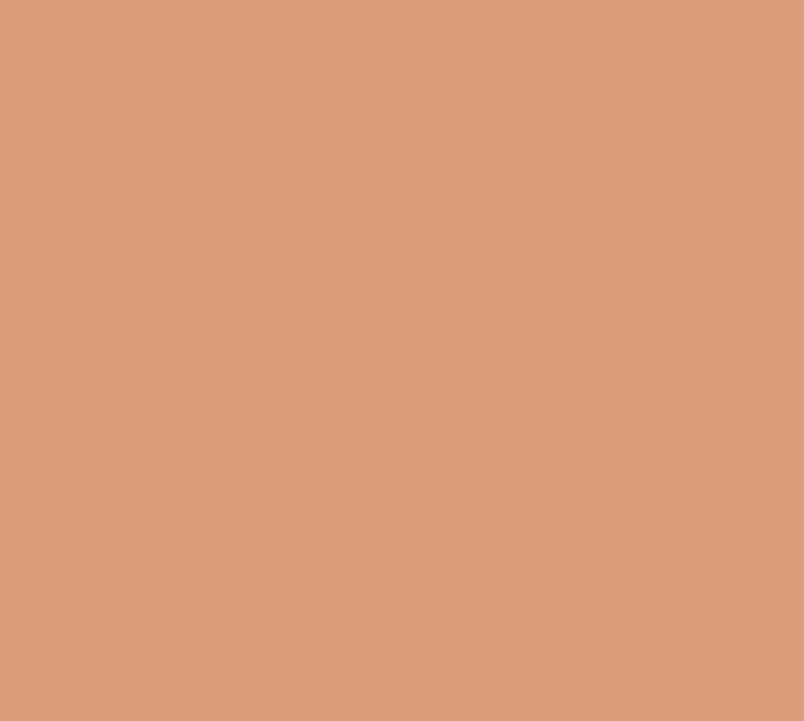 2237 Sunset Brown Interior Paint
