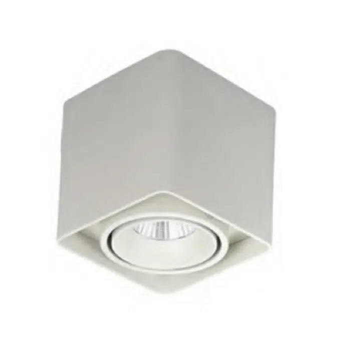 Küp Tavana Monte Downlight Aydınlatma