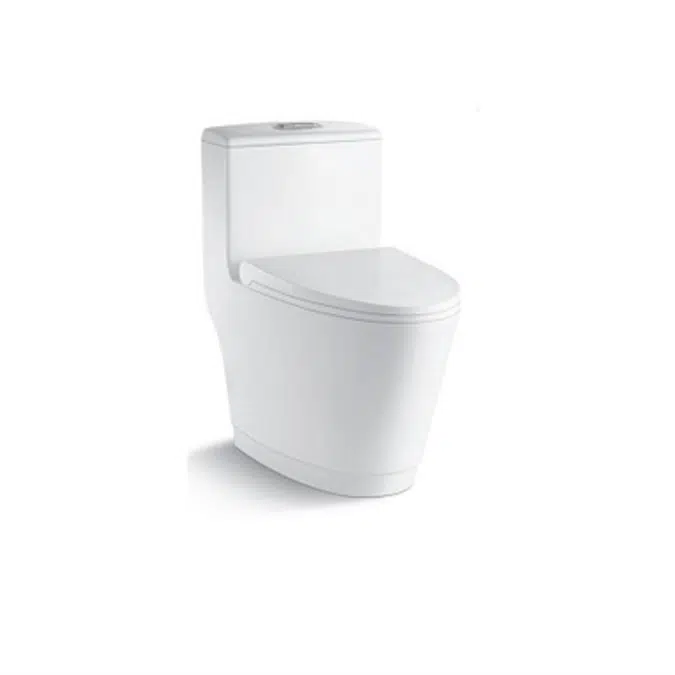 DANUBE Rimless One Piece Toilet
