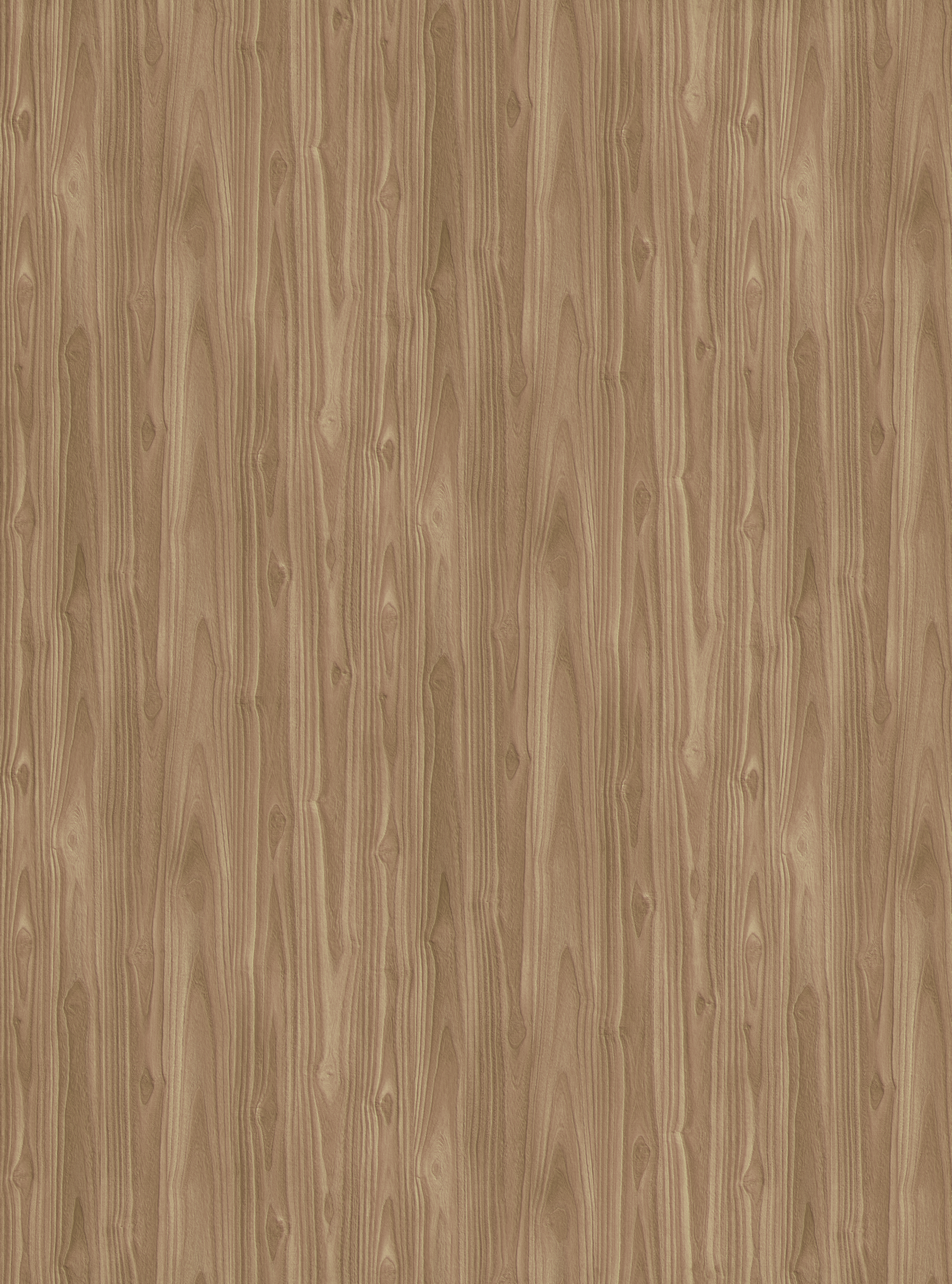 Okobo S160