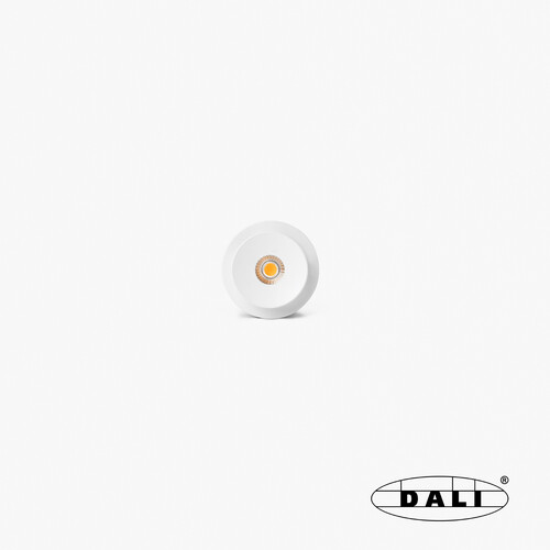 TEIDE beyaz adjustable module gömme spot 10W 65° 3000K CRI90 DALI