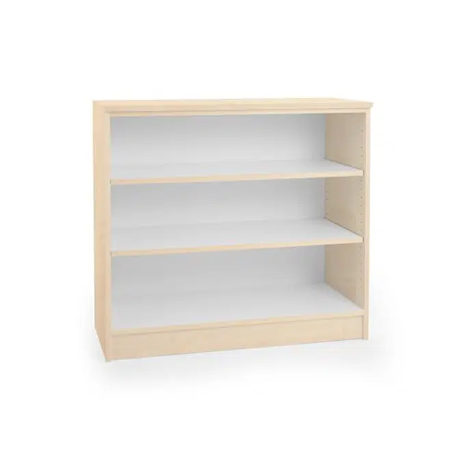 Theo Easy-Access and Minimalist Bookcase