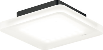 Surface Mounted Downlight, Nimbus Cubic 49 ON-XD, 230 V - 833.69.172