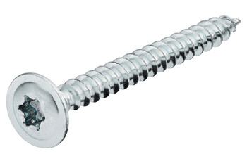 Arka Panel Vida, Hospa, düz baş, TS, çinko kaplı - 016.16.902