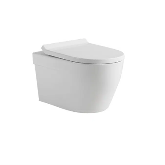 SEINE Rimless Wall Hung Toilet