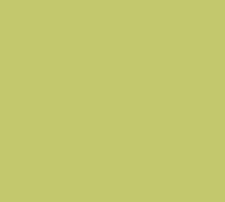 8325 Wondergrass Interior Paint