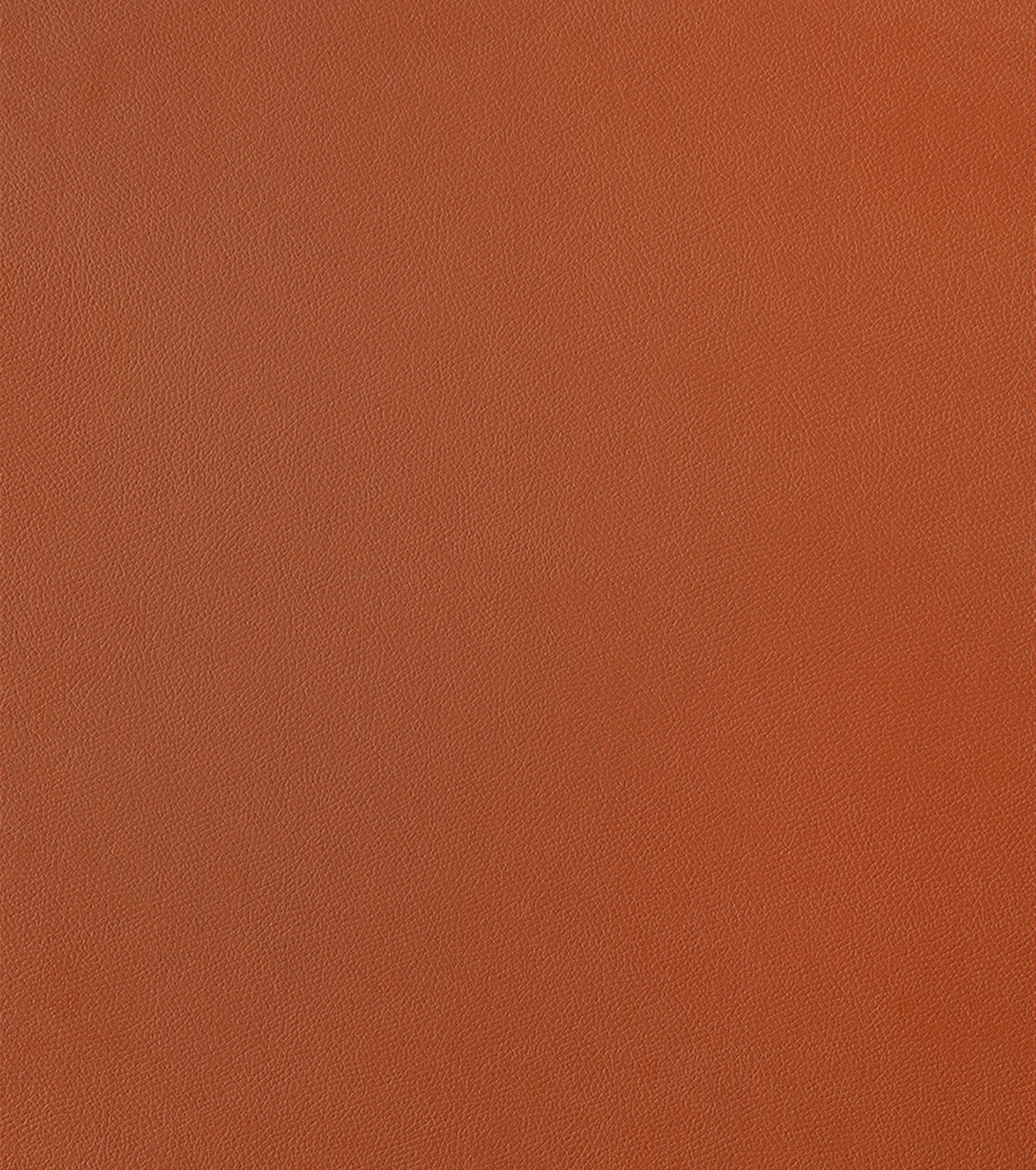 Primofiore UB55