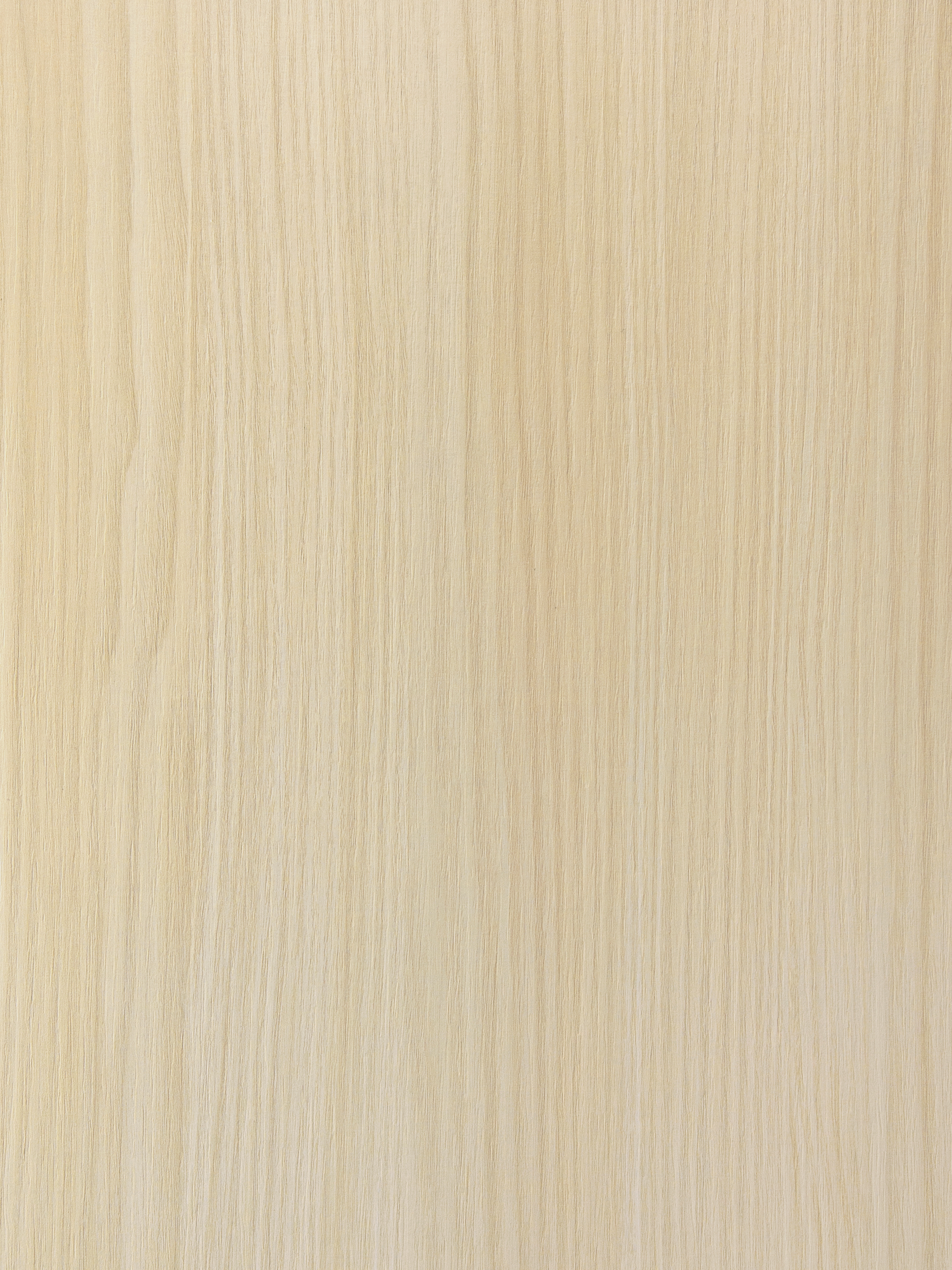 Ceppo LS92