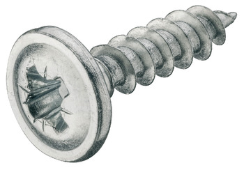 Rear Panel Screw, Hospa, flat head, PZ, zinc plated - 016.20.840