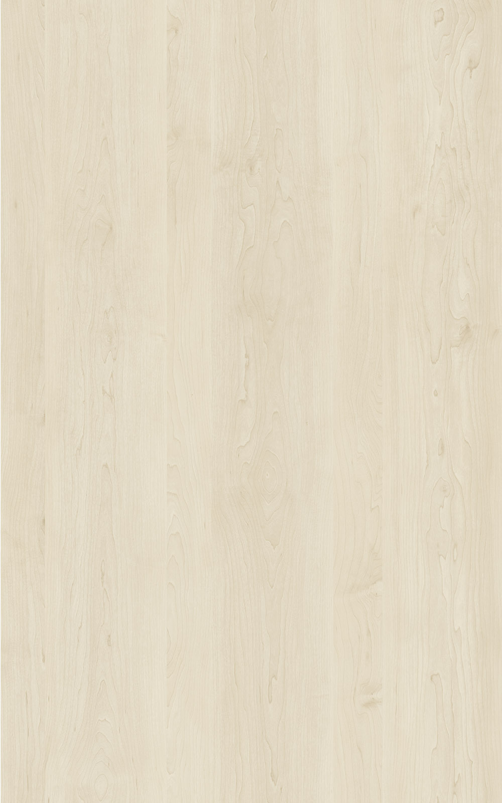 Vancouver Ahorn - 3193 Laminat