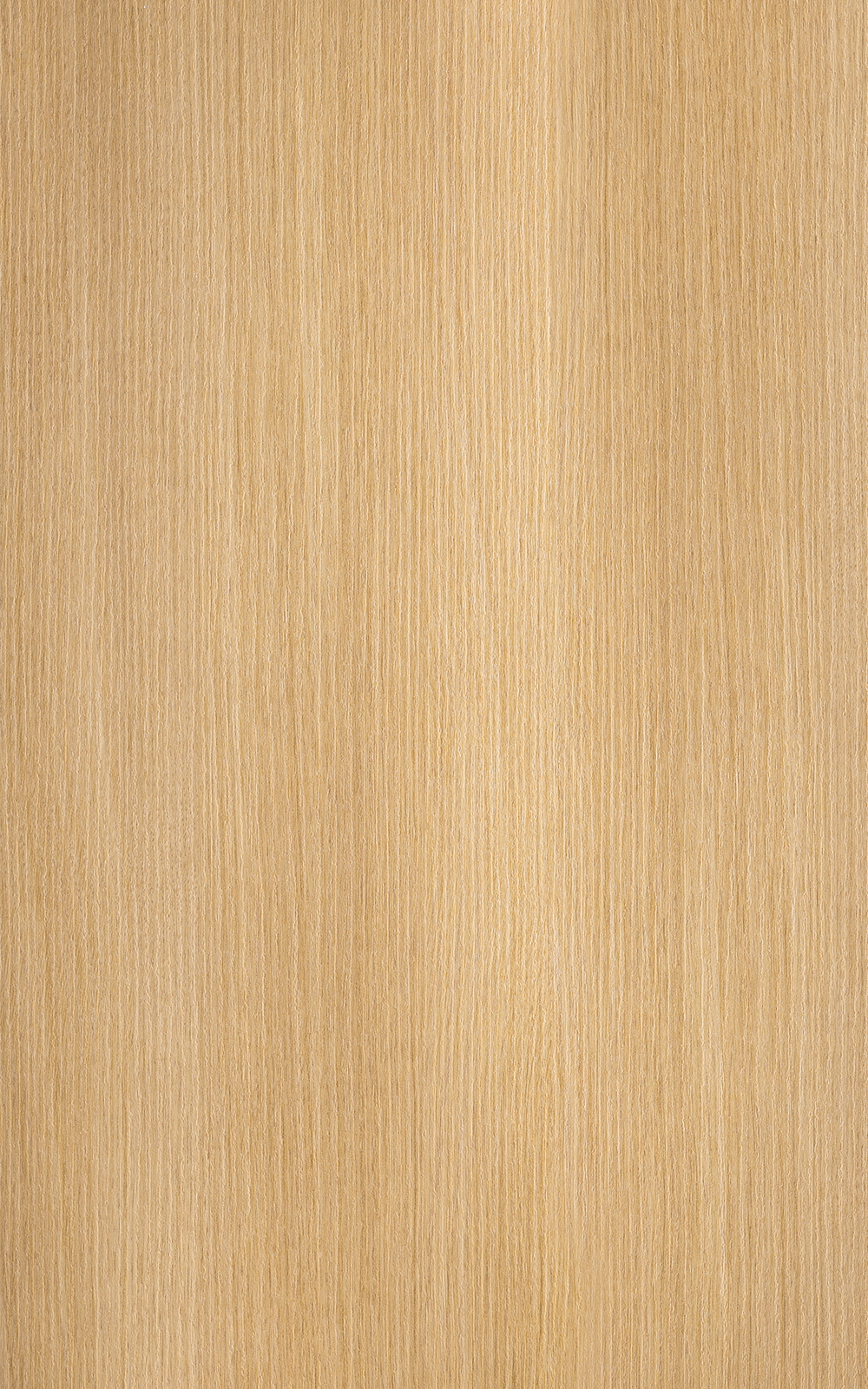 Ketchikan Oak - 3191 Laminate
