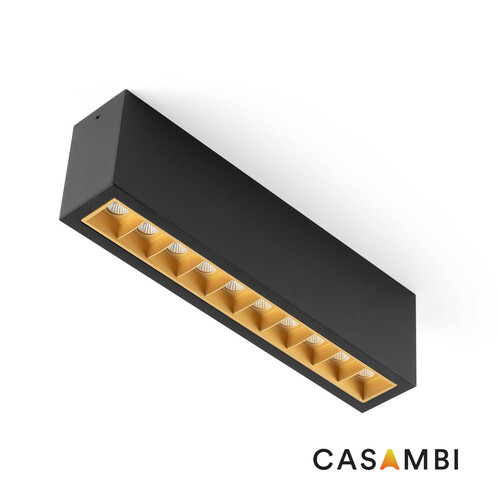 TROOP Surface 10x2W black-gold 15° 4000K CRI90 CASAMBI