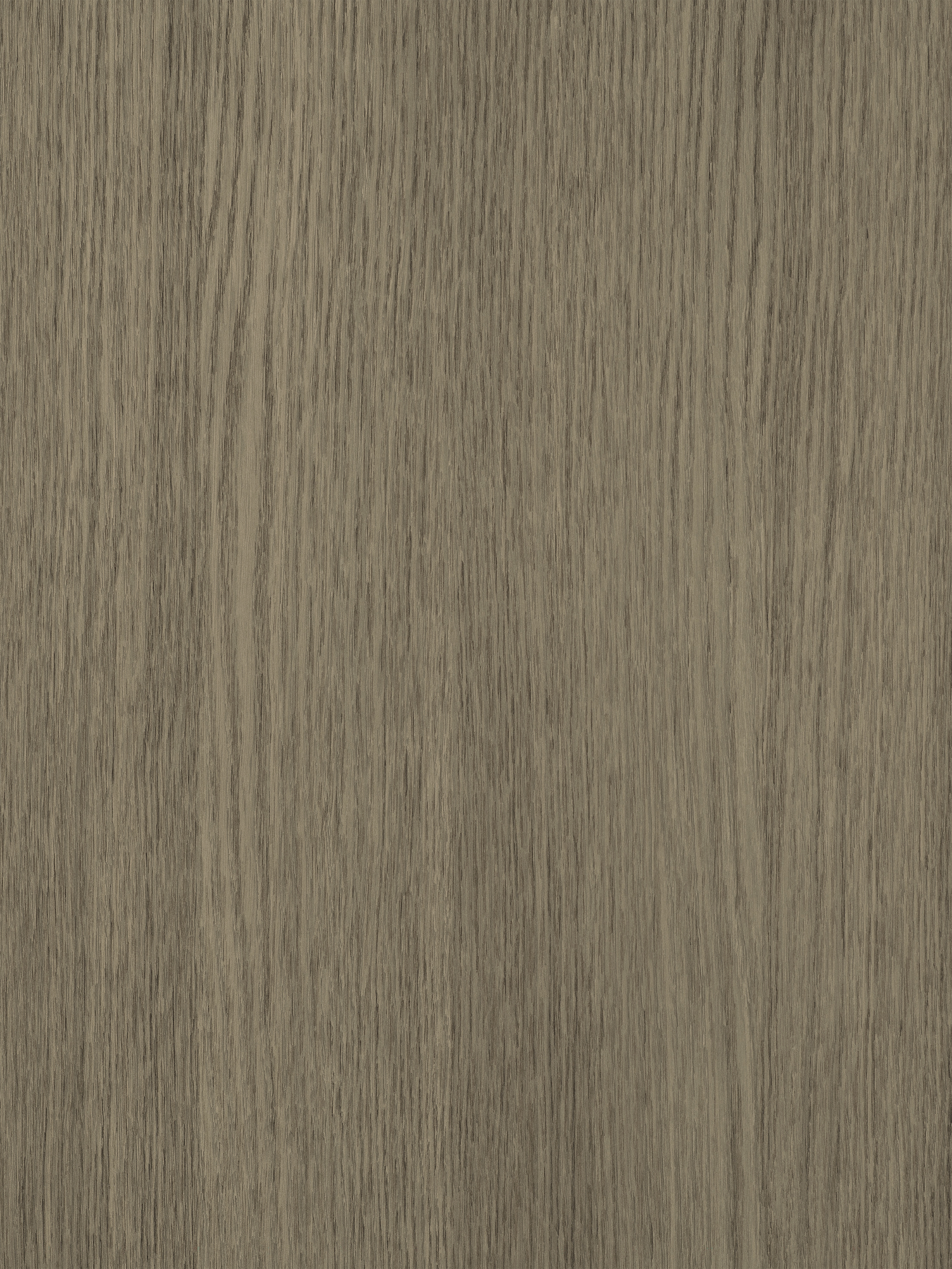Quercia S184
