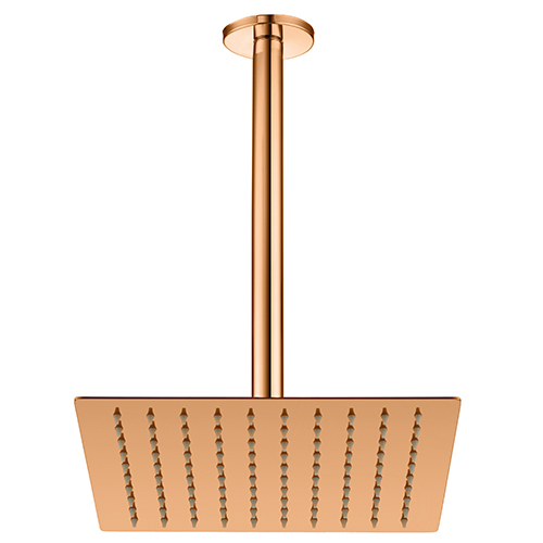 GPD Concealed Shower Head (Ceiling_250X250) - ADS1