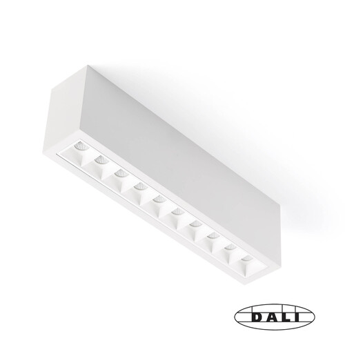 TROOP Surface 10x2W beyaz-beyaz 48° 3000K CRI90 DALI