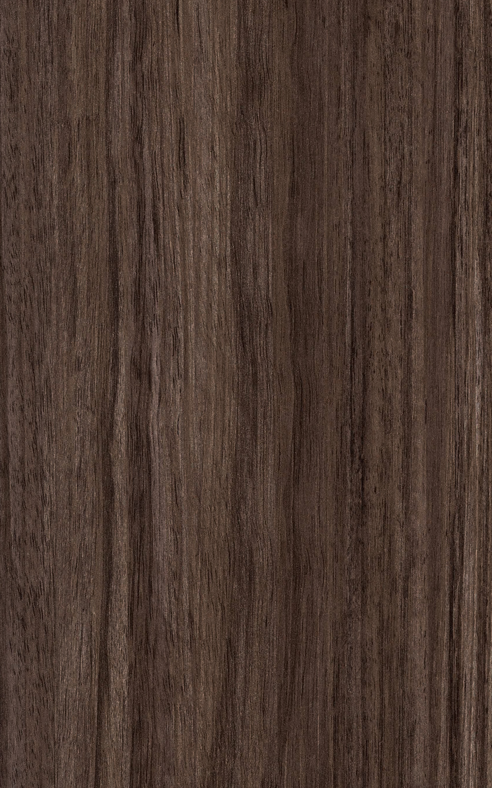 Banff Walnut  -  3122 Laminat