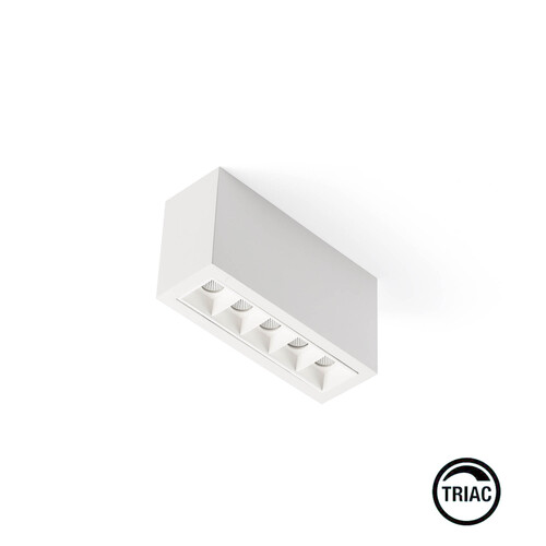 TROOP Surface 5x2W beyaz-beyaz 15° 2700K CRI90 TRIAC