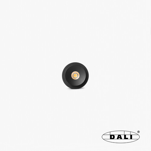 TEIDE siyah adjustable module gömme spot 10W 40° 2700K CRI90 DALI